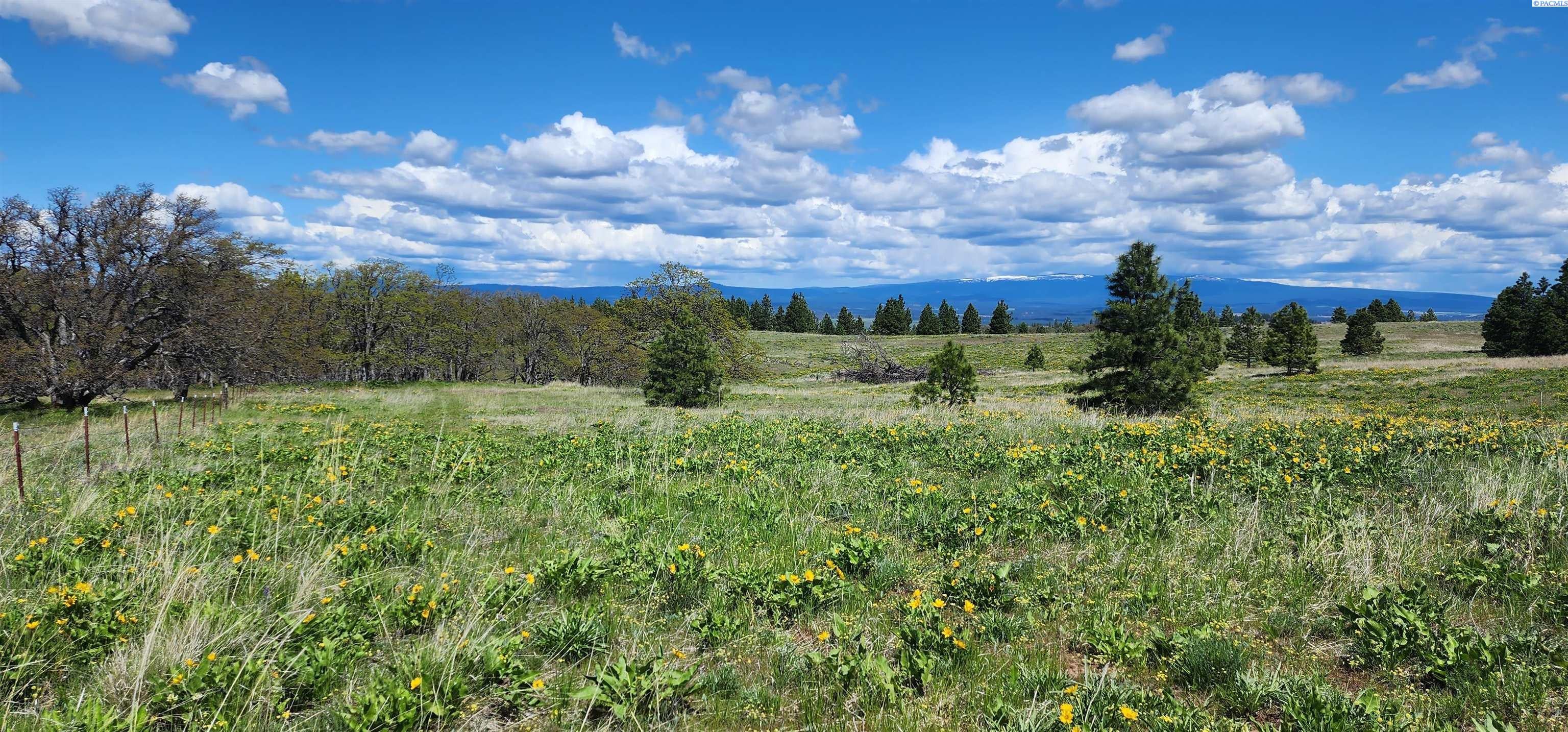 Lot 19 Schilling Road Lyle, WA 98635 - Photo 8 of 39 Gallery Image 8