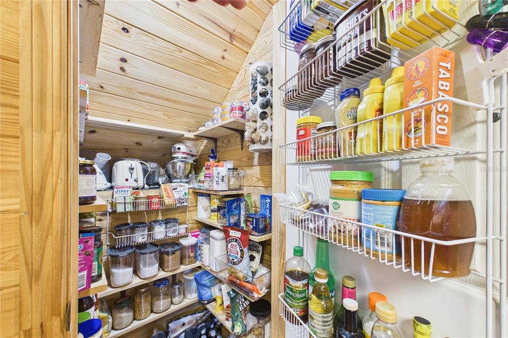 21038 Reindeer Road Christmas, FL 32709 - Photo 25 of 91