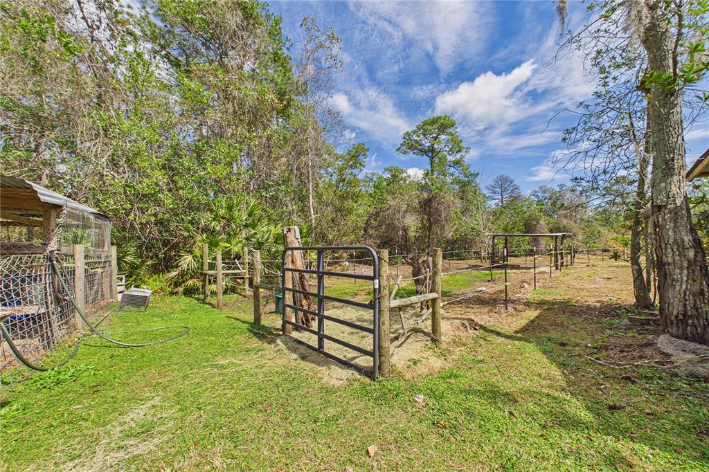 21038 Reindeer Road Christmas, FL 32709 - Photo 79 of 91
