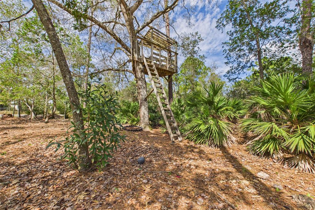 21038 Reindeer Road Christmas, FL 32709 - Photo 82 of 91