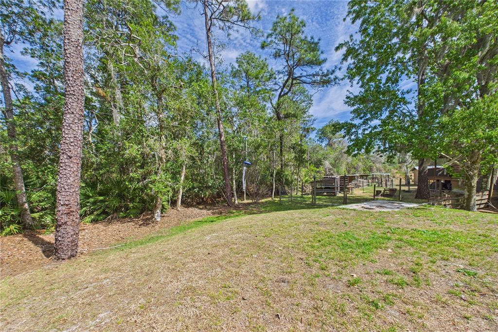 21038 Reindeer Road Christmas, FL 32709 - Photo 83 of 91