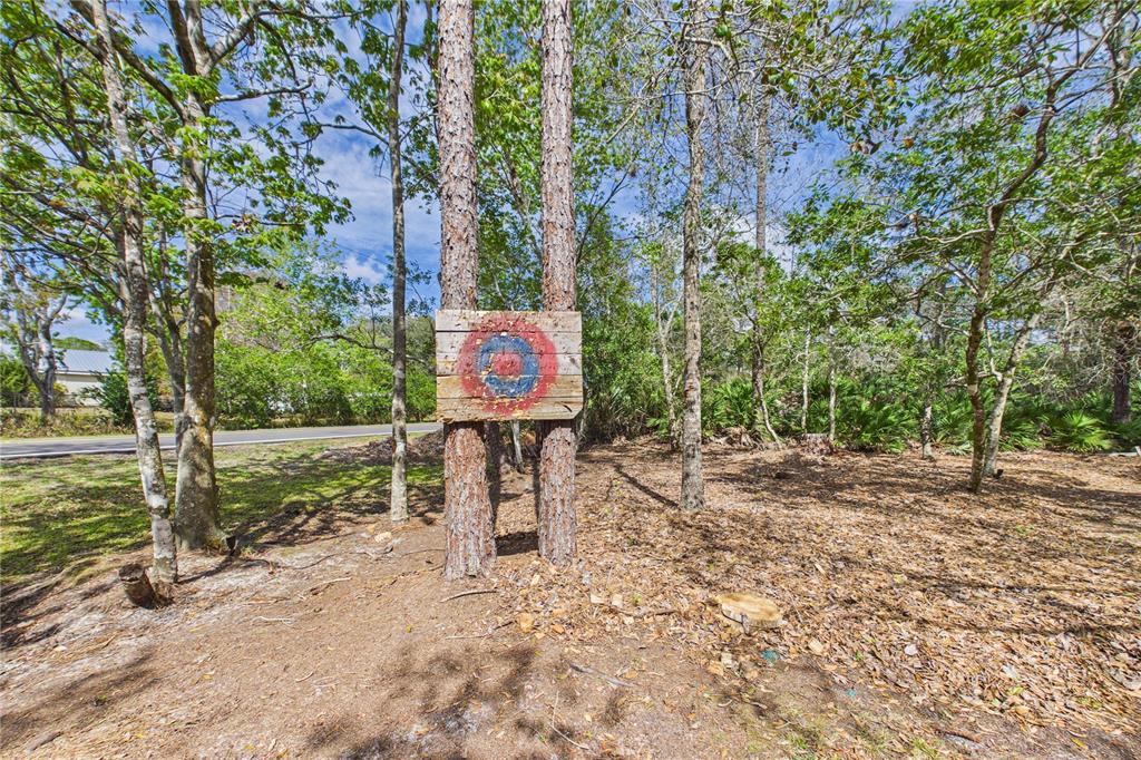 21038 Reindeer Road Christmas, FL 32709 - Photo 84 of 91