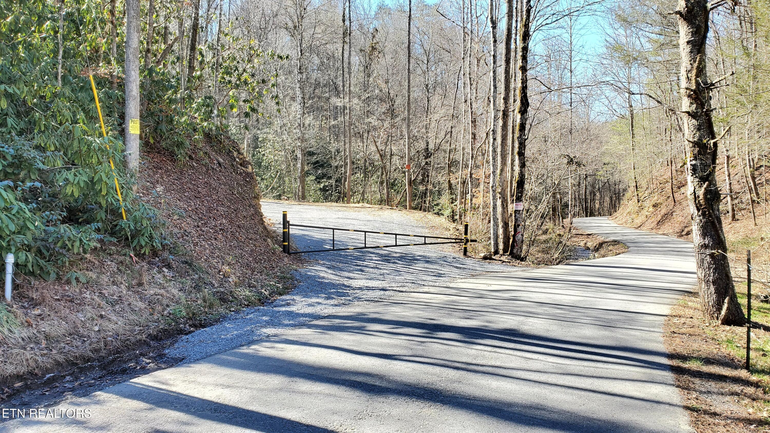 4903 Long Rifle Road Walland, TN 37886 - Photo 3 of 28 Access road off E Millers Cove Rd