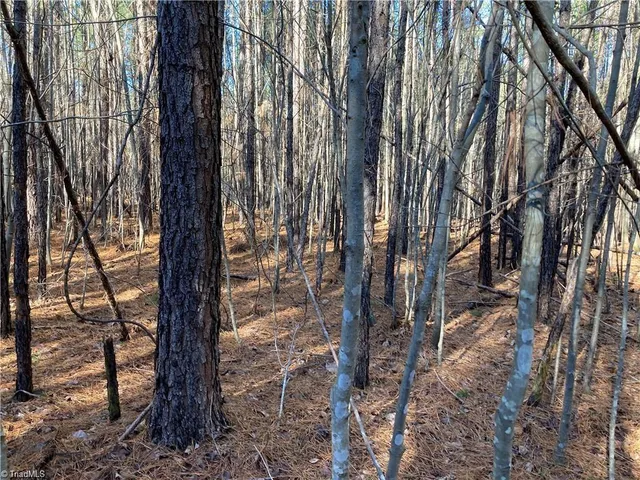 $38,900 | 0 Highway 134 North, Star, NC 27356