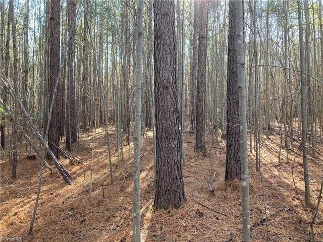 $38,900 | 0 Highway 134 North, Star, NC 27356