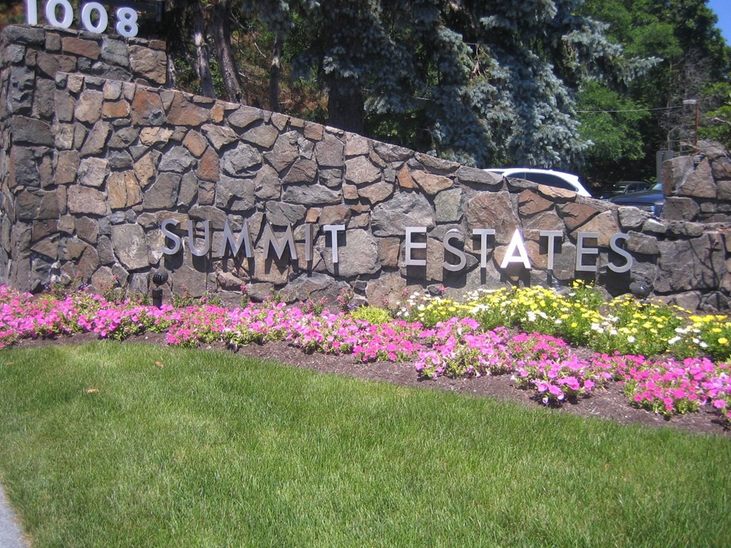 a bunch of flowers are in a yard