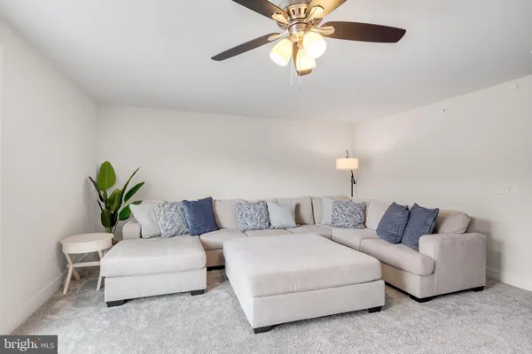 a living room with furniture and a potted plant