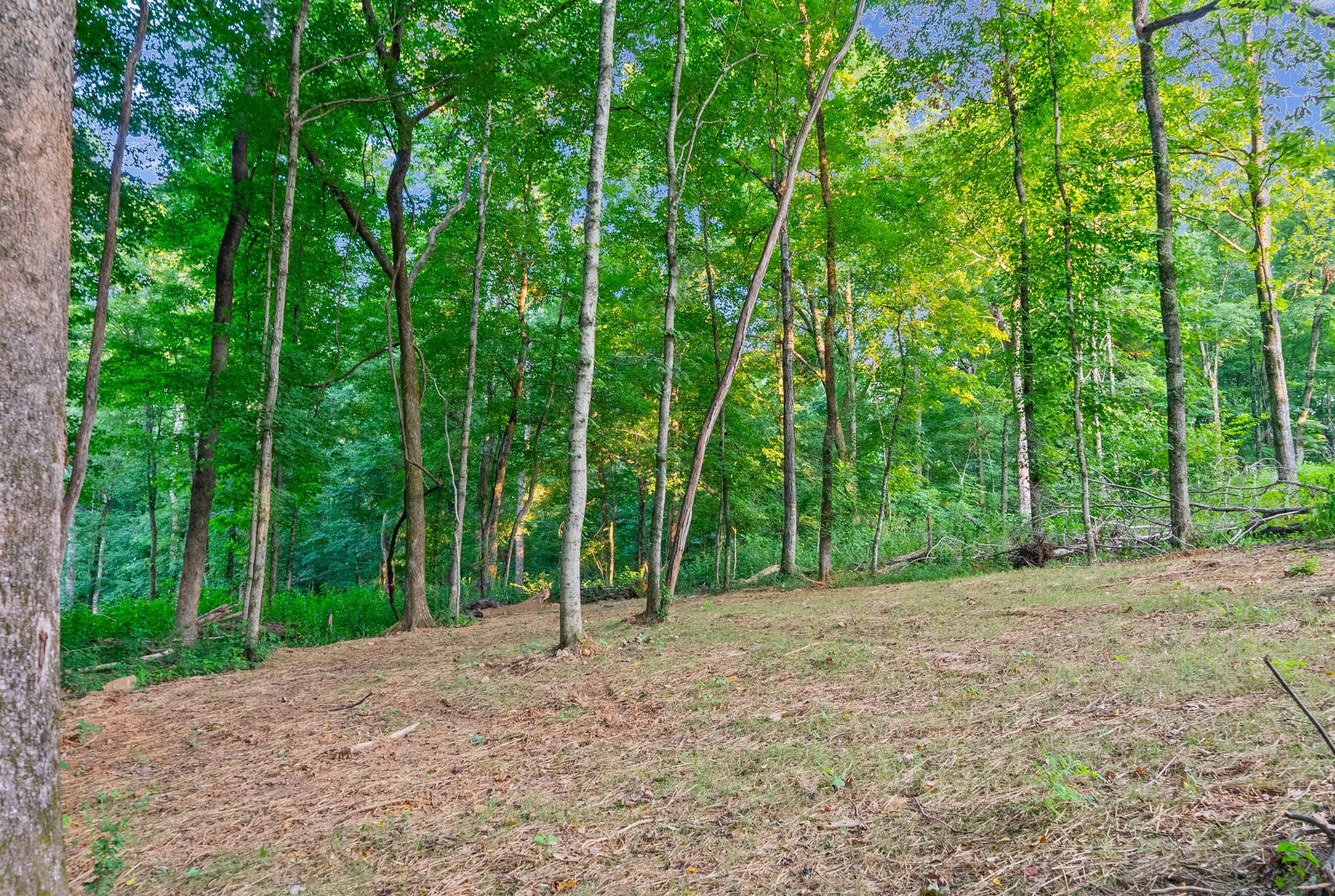 2210 Palmyra Road Palmyra, TN 37142 - Photo 45 of 49 Gallery Image 45
