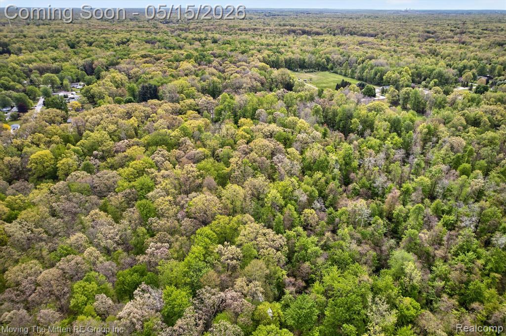 22530 Bohn Road Belleville, MI 48111 - Photo 17 of 28