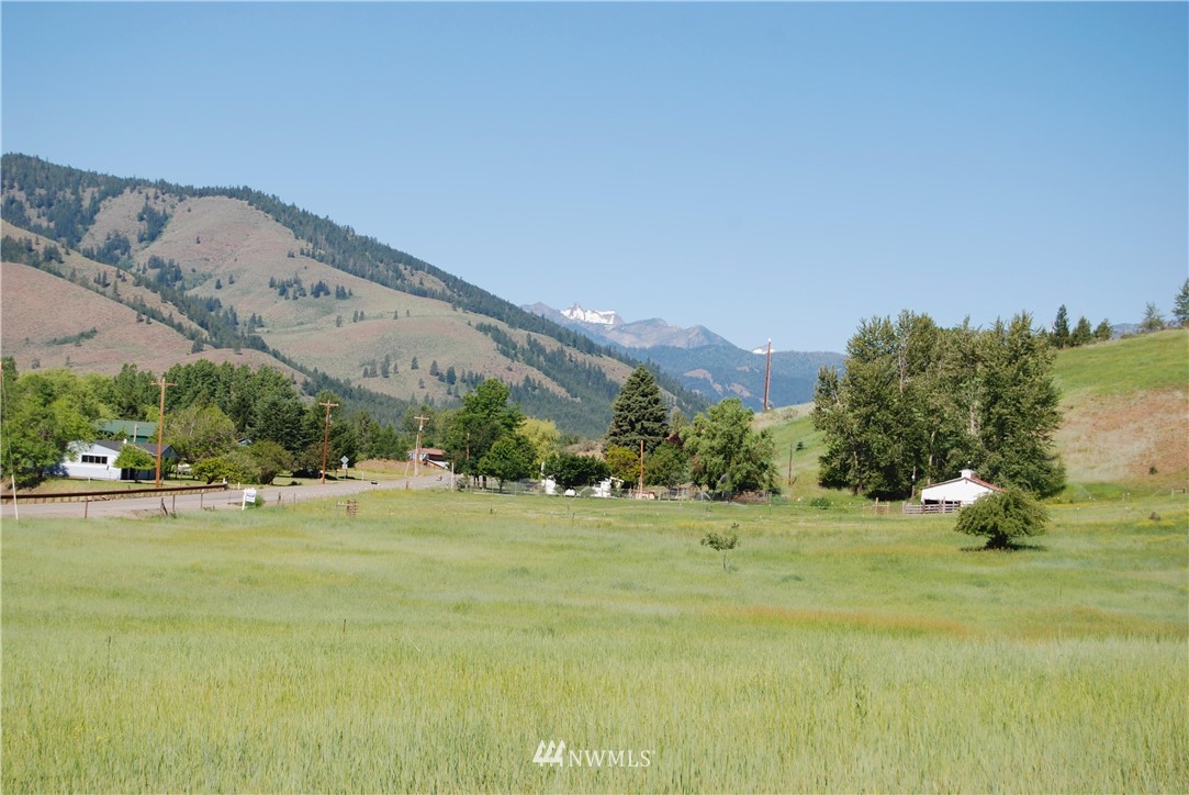 194 Twisp River Road Twisp, WA 98856 - Photo 1 of 25