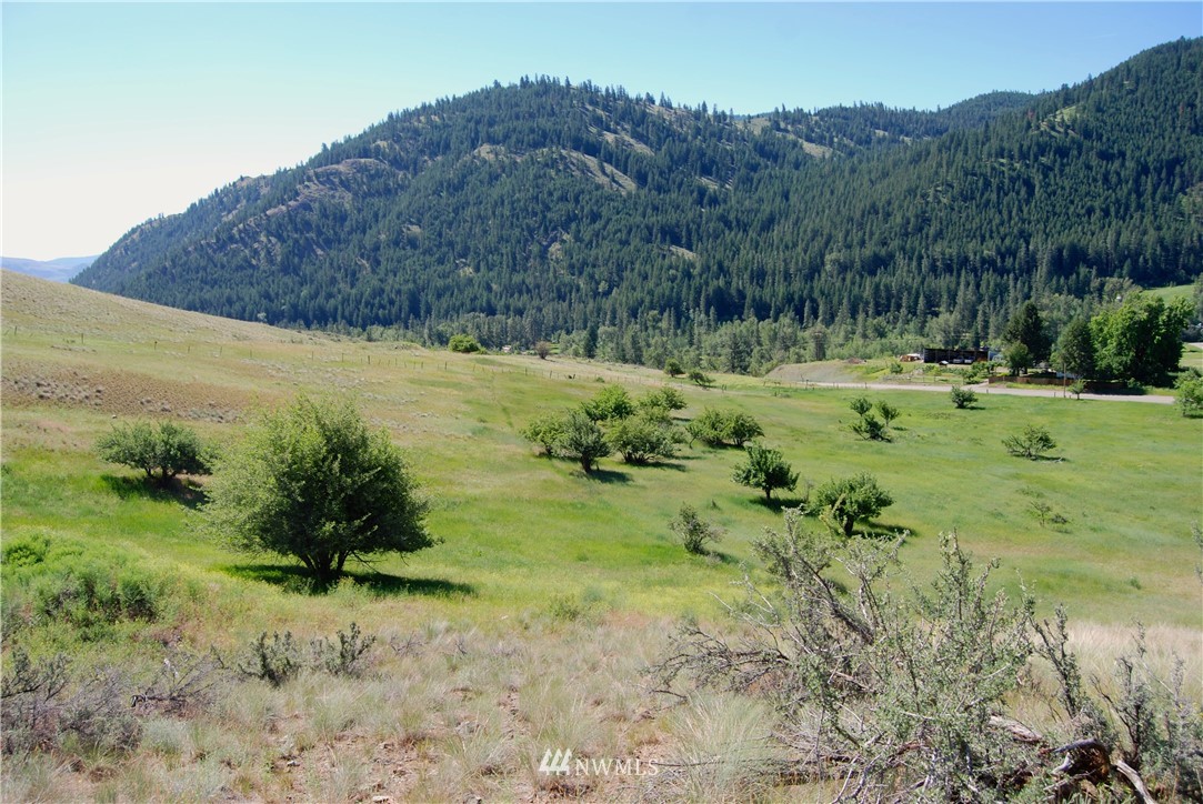 194 Twisp River Road Twisp, WA 98856 - Photo 13 of 25