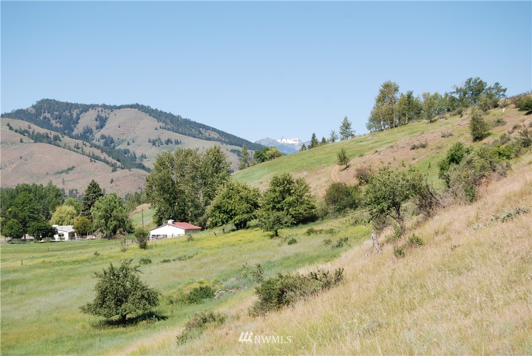 194 Twisp River Road Twisp, WA 98856 - Photo 16 of 25