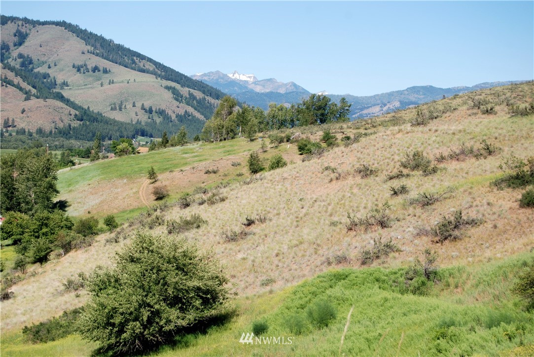 194 Twisp River Road Twisp, WA 98856 - Photo 17 of 25