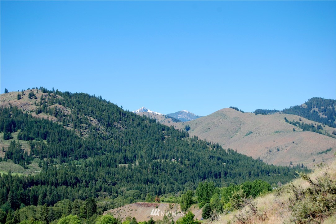 194 Twisp River Road Twisp, WA 98856 - Photo 18 of 25