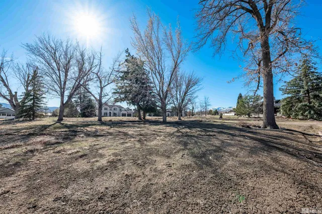 a view of outdoor space with trees