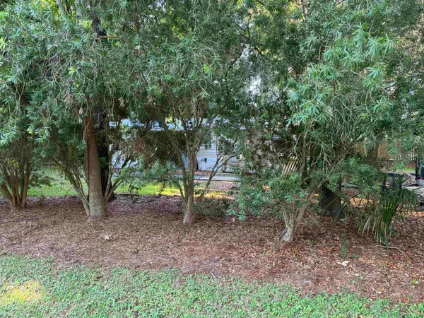 a view of a yard with a tree