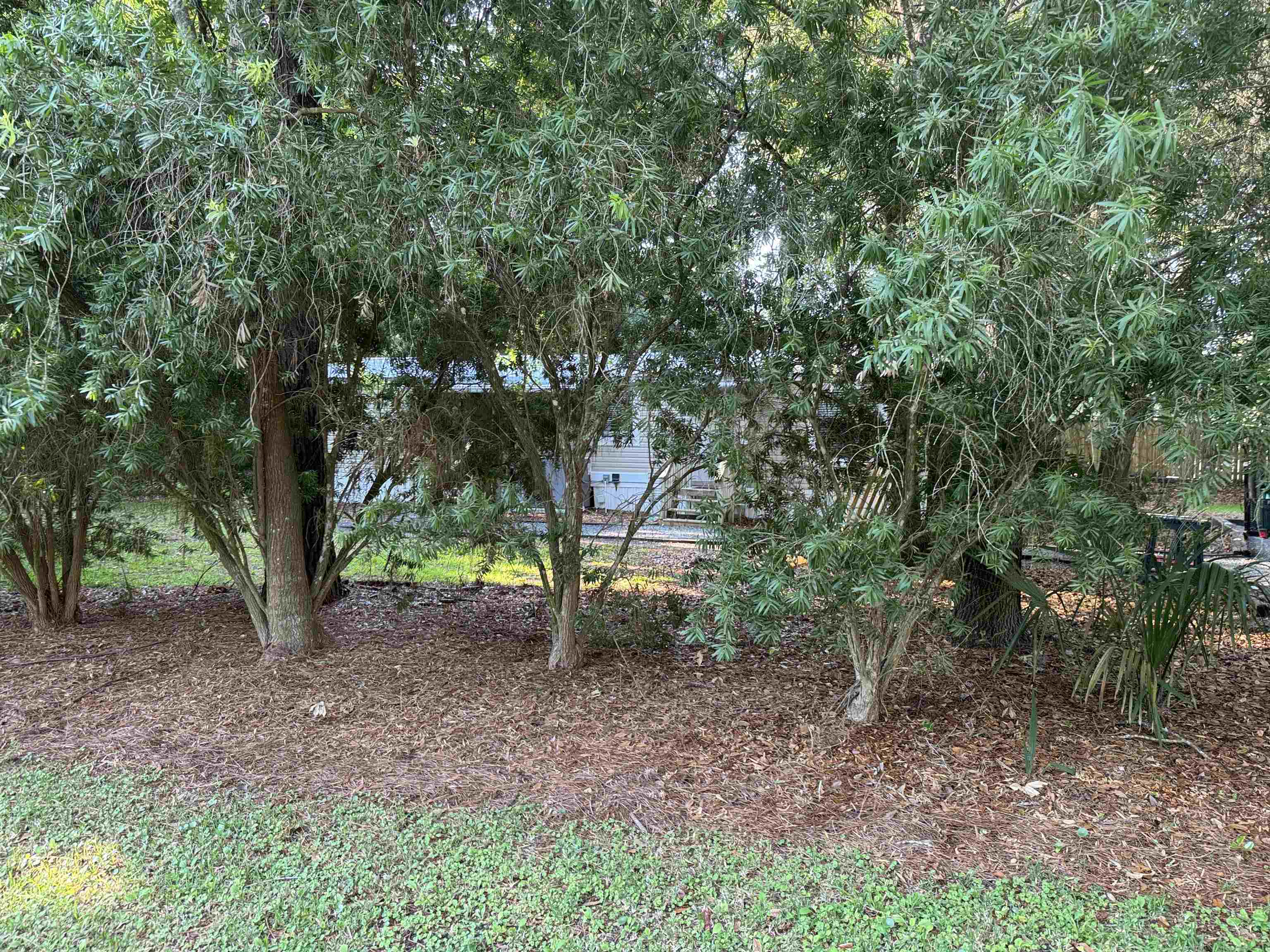 4430 Manucy Road, Unit C St. Augustine, FL 32084 - Photo 26 of 26 a view of a yard with a tree