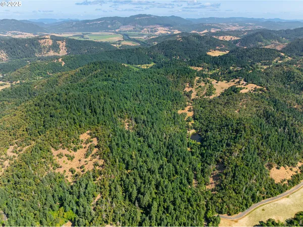 a view of a city with lush green forest