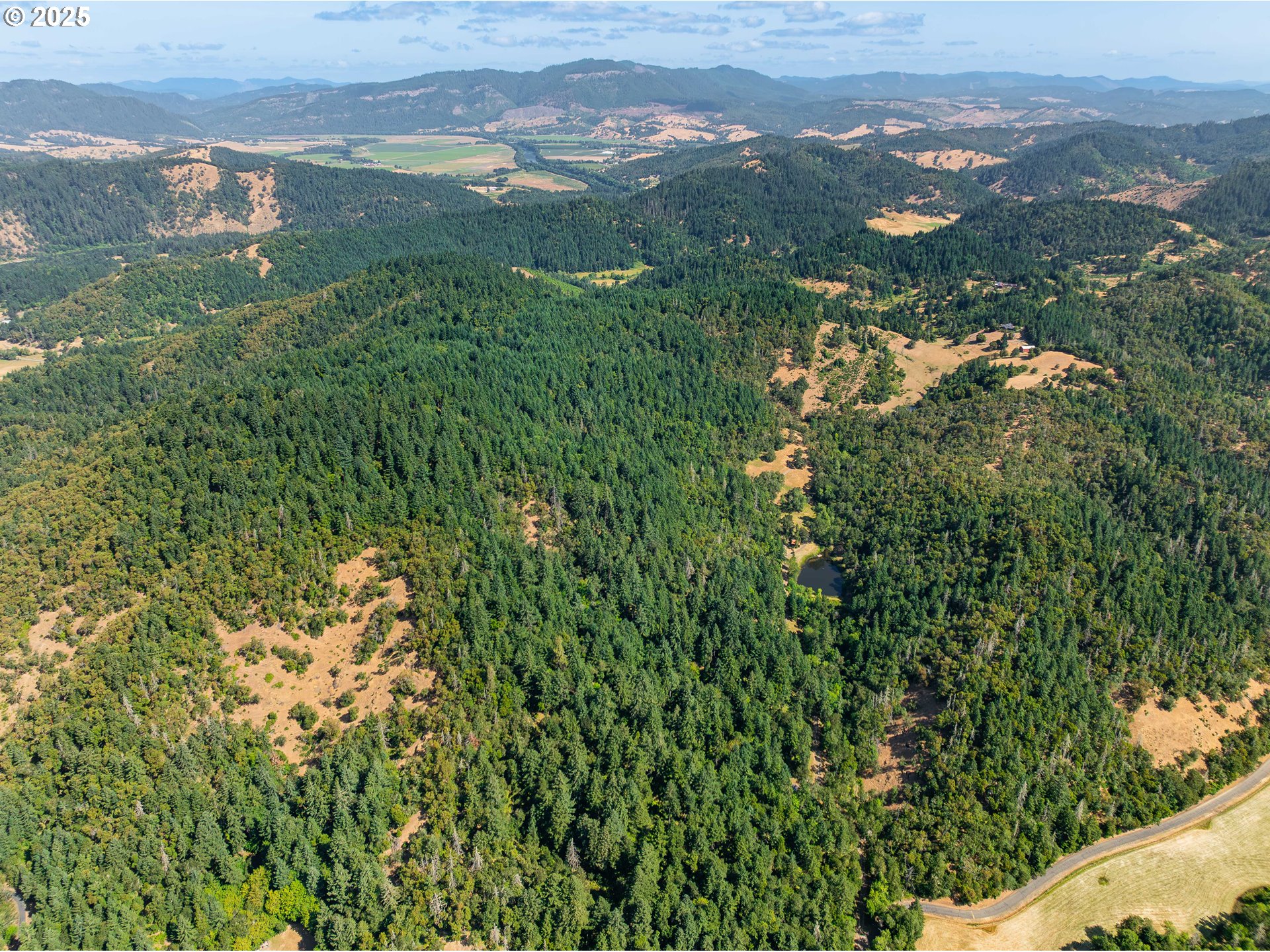 1180 Upper Cleveland Rapids Road Roseburg, OR 97471 - Photo 1 of 42 a view of a city with lush green forest