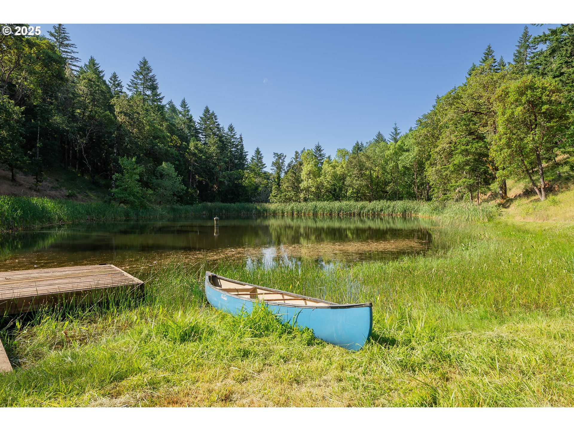 1180 Upper Cleveland Rapids Road Roseburg, OR 97471 - Photo 14 of 42 a view of a lake with a house in the background