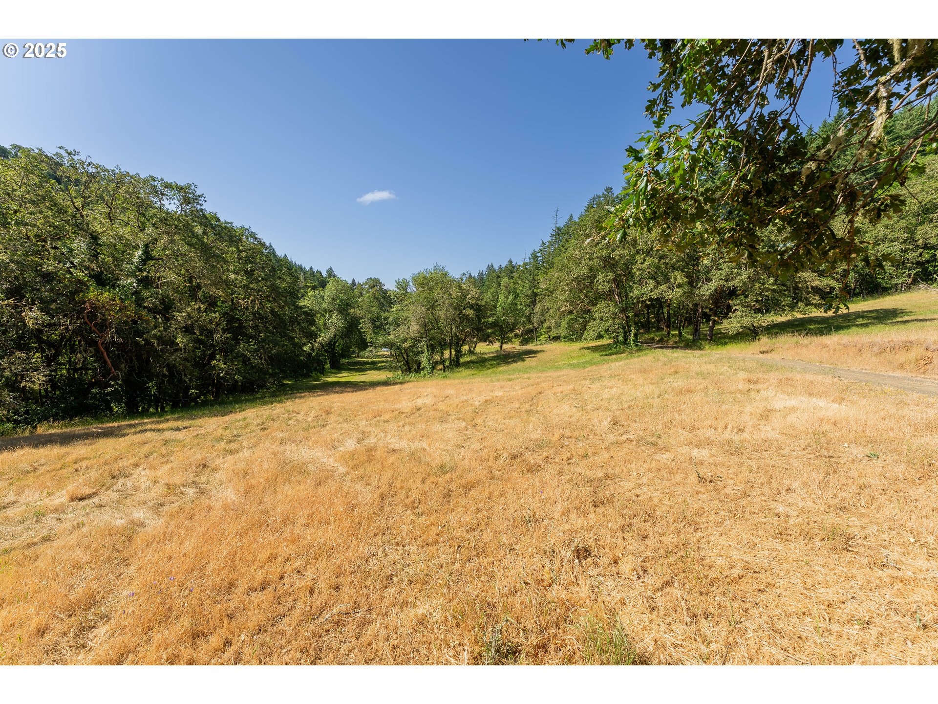 1180 Upper Cleveland Rapids Road Roseburg, OR 97471 - Photo 16 of 42 a view of a yard with a tree