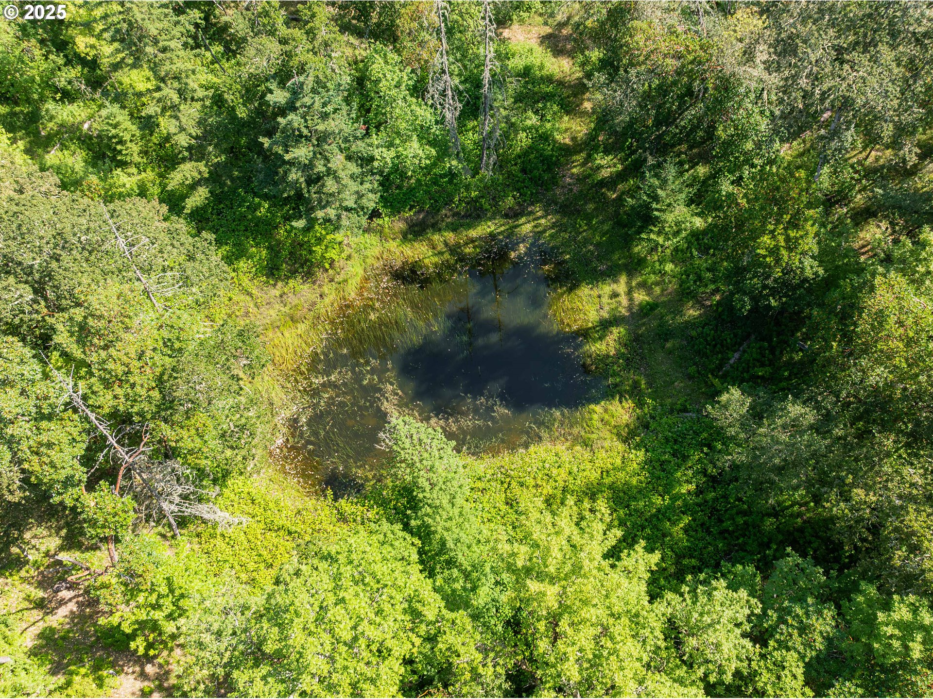 1180 Upper Cleveland Rapids Road Roseburg, OR 97471 - Photo 17 of 42 a view of a garden