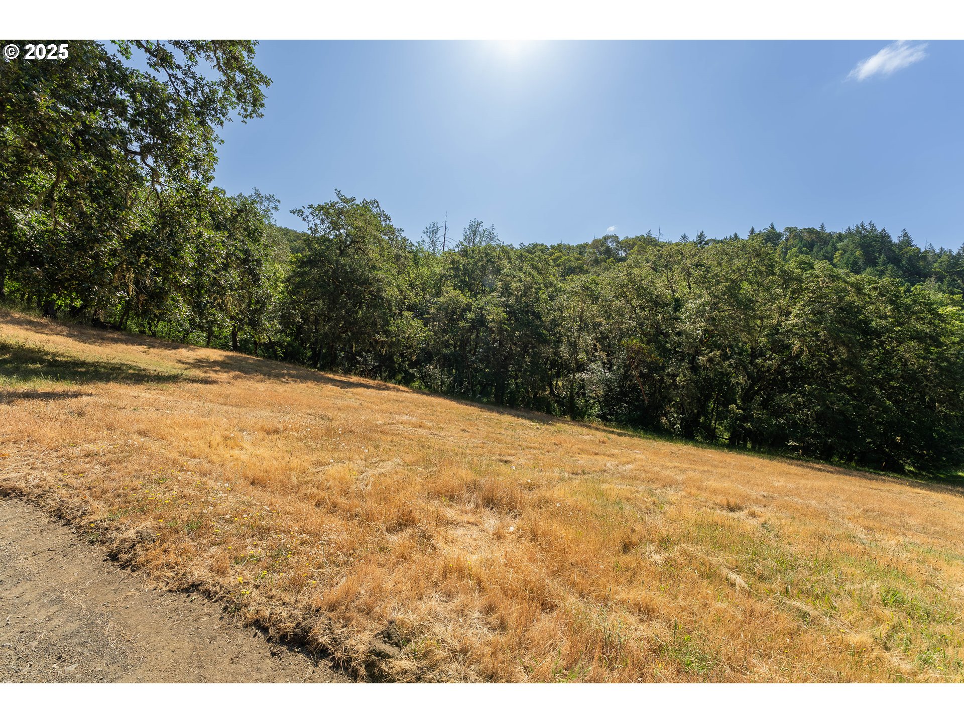 1180 Upper Cleveland Rapids Road Roseburg, OR 97471 - Photo 18 of 42 a view of a yard