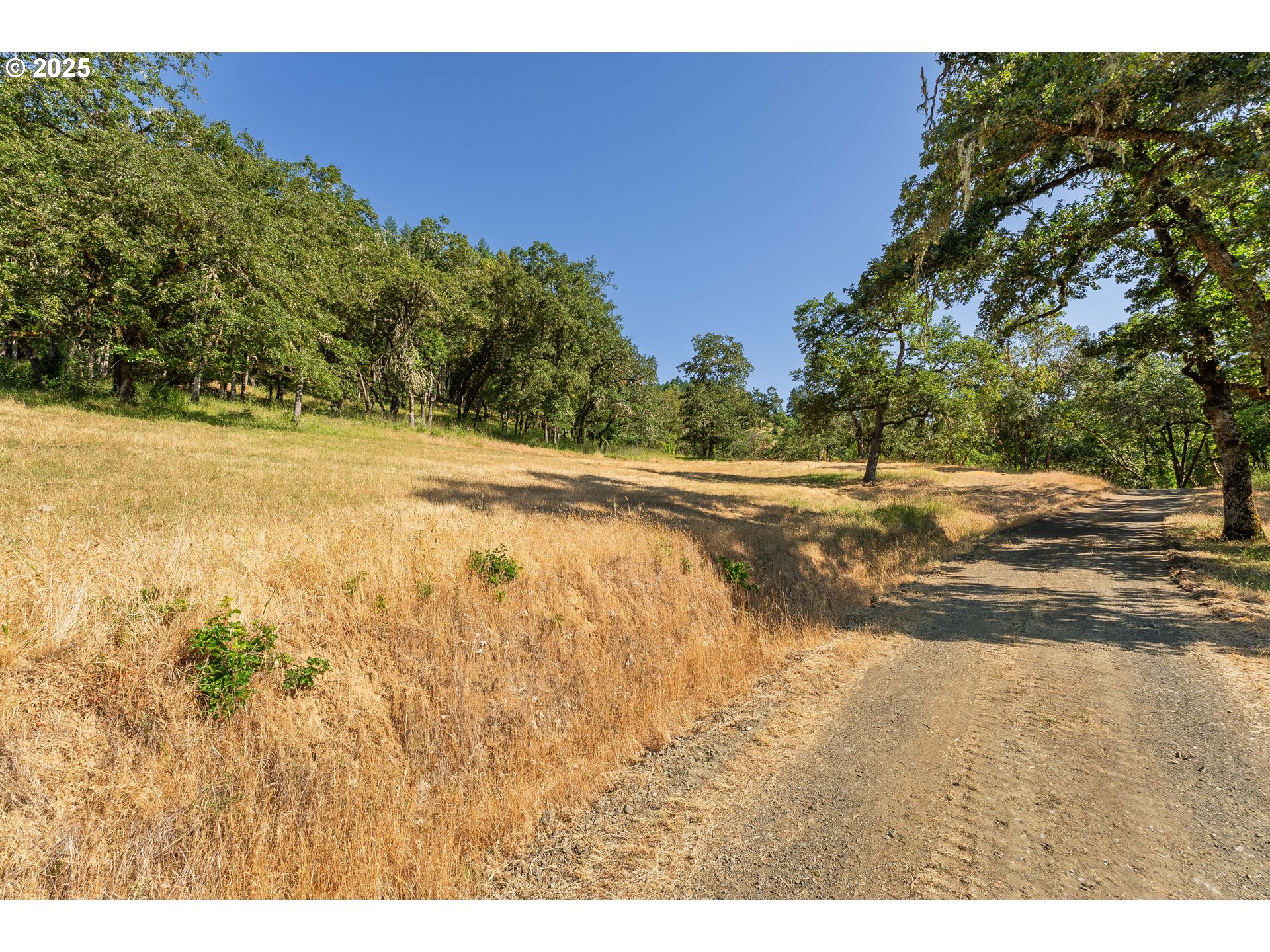 1180 Upper Cleveland Rapids Road Roseburg, OR 97471 - Photo 19 of 42 a view of a yard with a house