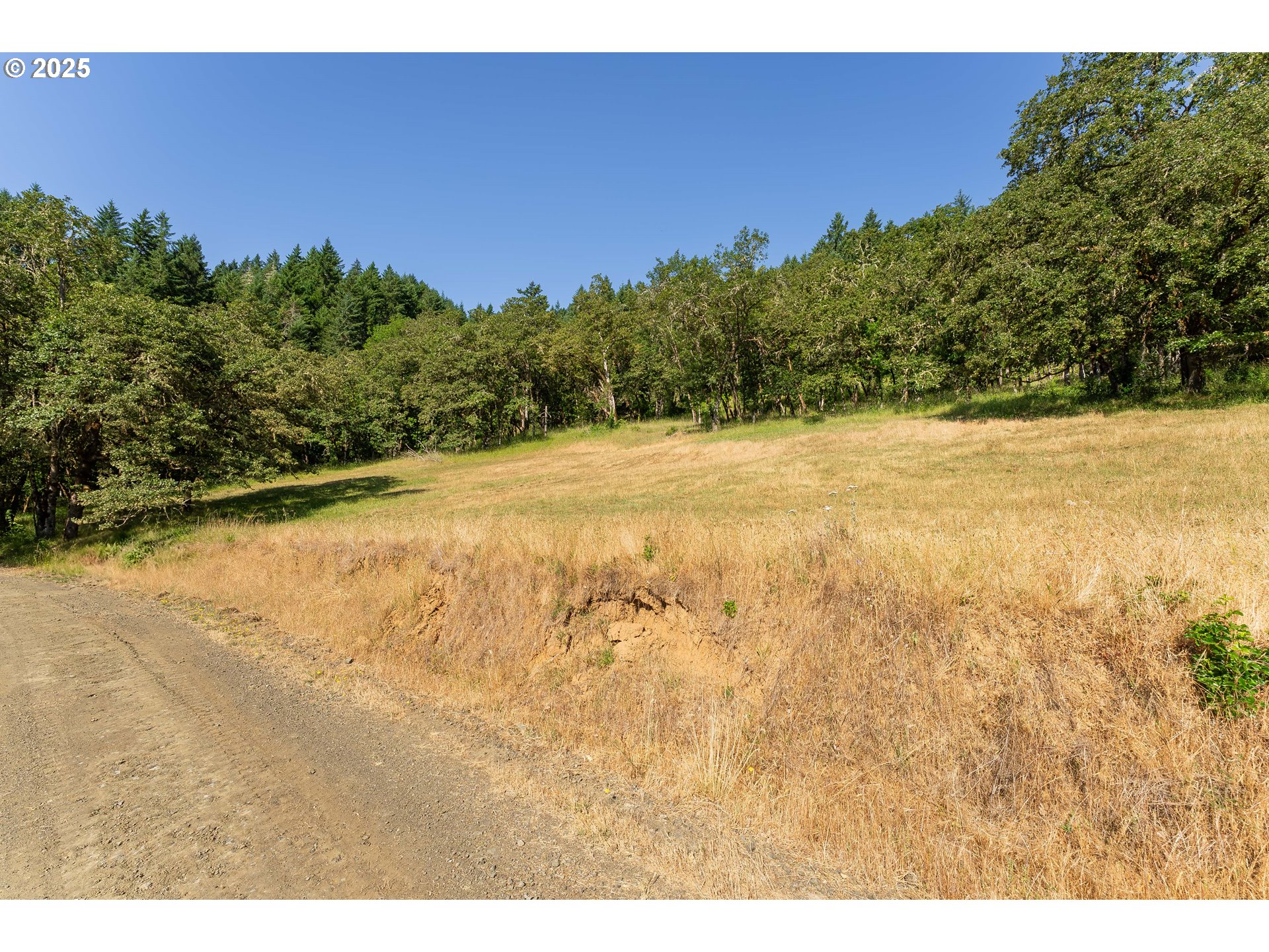 1180 Upper Cleveland Rapids Road Roseburg, OR 97471 - Photo 20 of 42 a view of an outdoor space and a yard