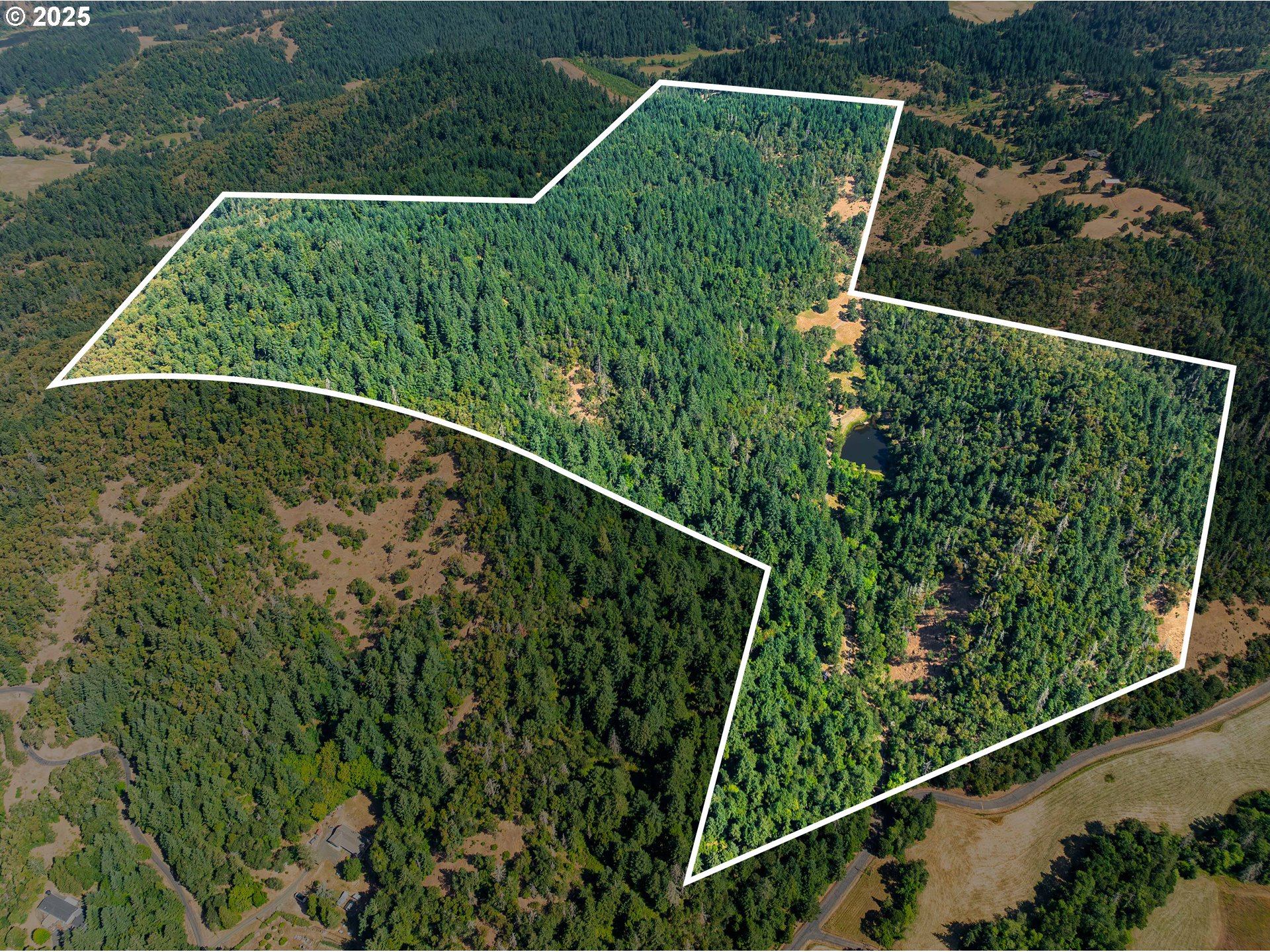 1180 Upper Cleveland Rapids Road Roseburg, OR 97471 - Photo 2 of 42 a view of a yard