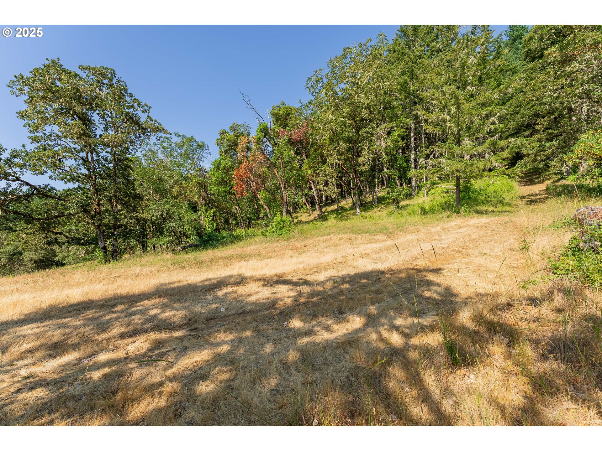 1180 Upper Cleveland Rapids Road Roseburg, OR 97471 - Photo 21 of 42 a view of a yard with a tree
