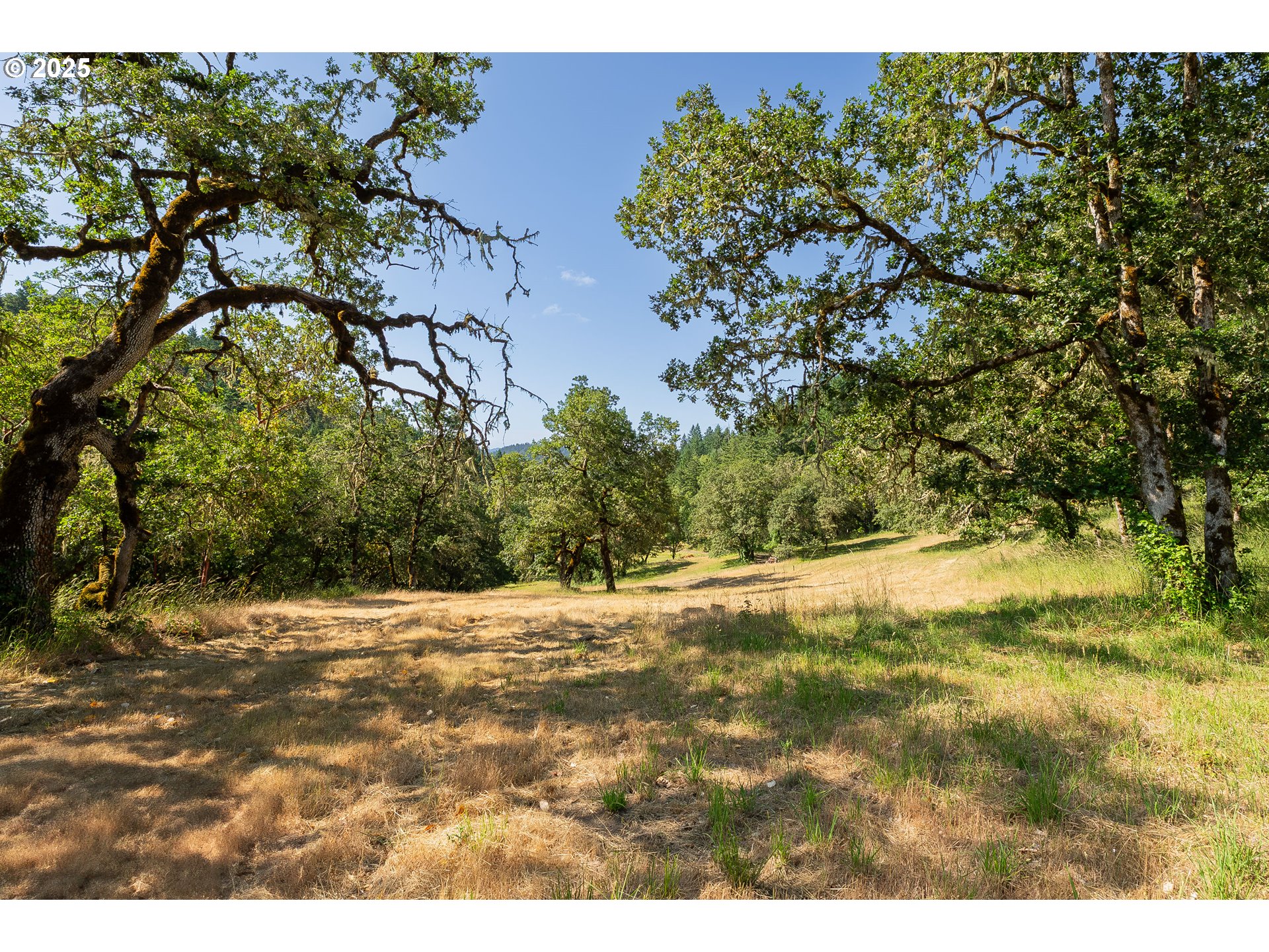 1180 Upper Cleveland Rapids Road Roseburg, OR 97471 - Photo 22 of 42 a view of a yard with a tree