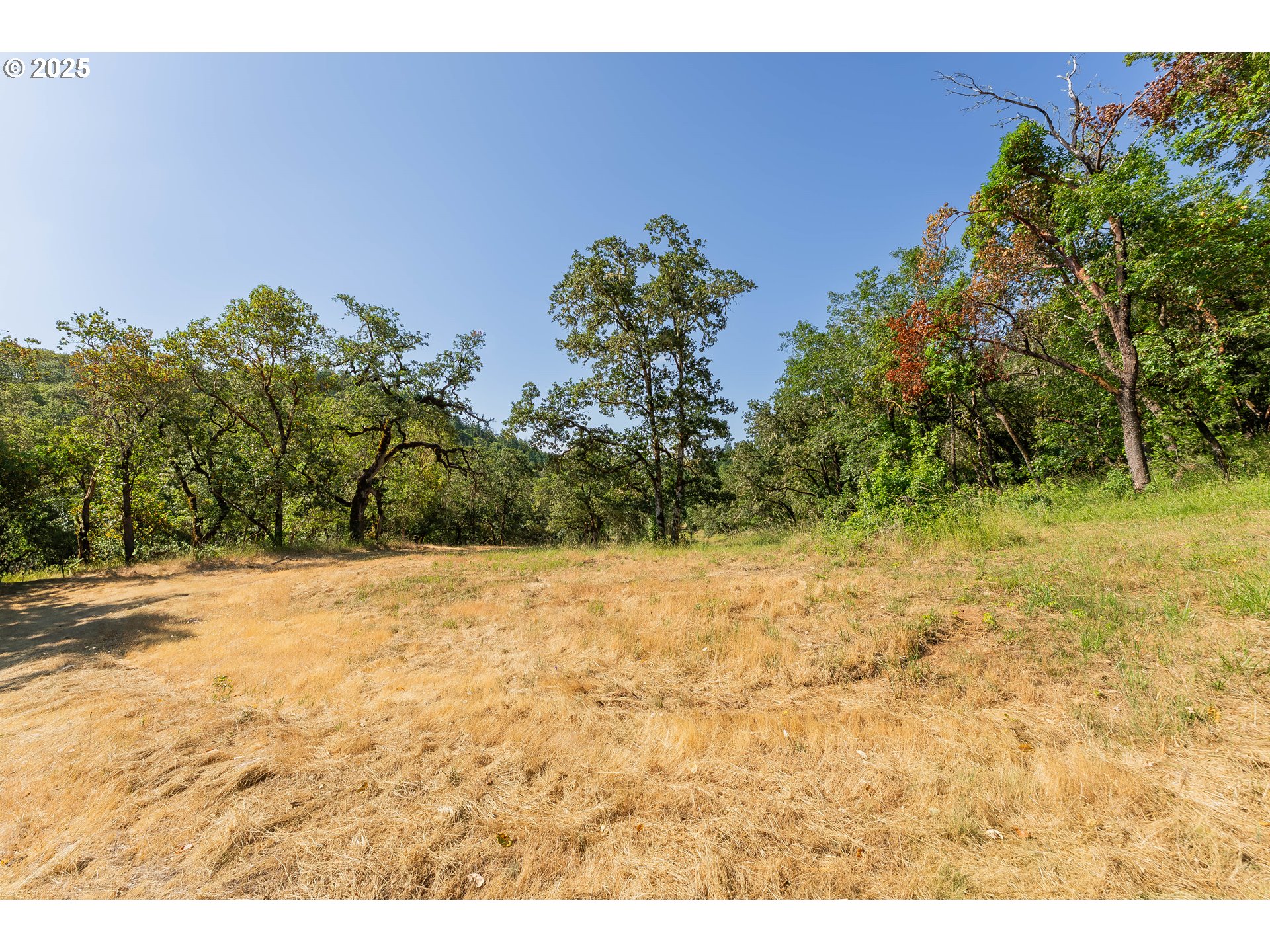 1180 Upper Cleveland Rapids Road Roseburg, OR 97471 - Photo 23 of 42 a view of a yard with a tree