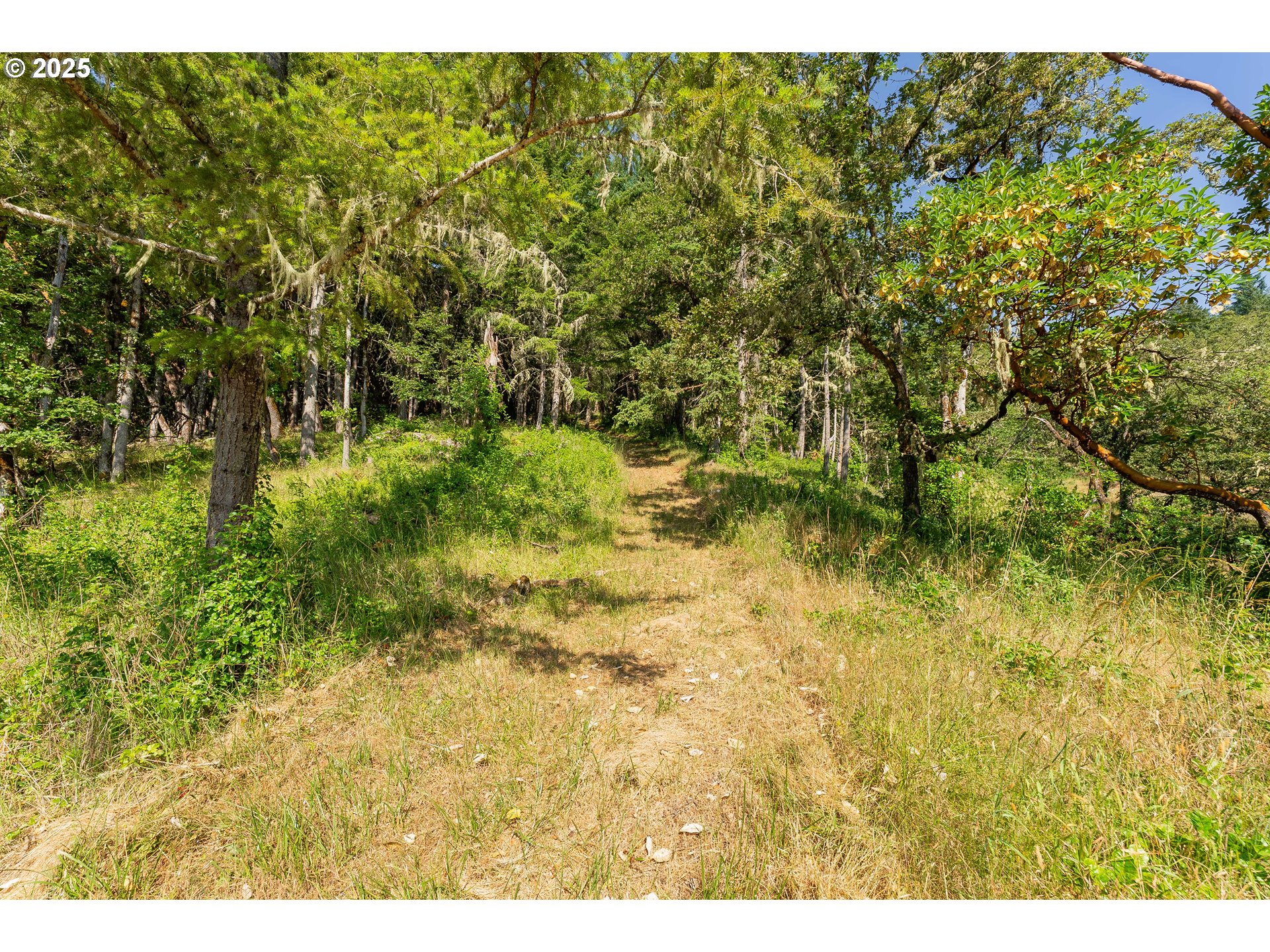 1180 Upper Cleveland Rapids Road Roseburg, OR 97471 - Photo 24 of 42 a view of outdoor space and a yard