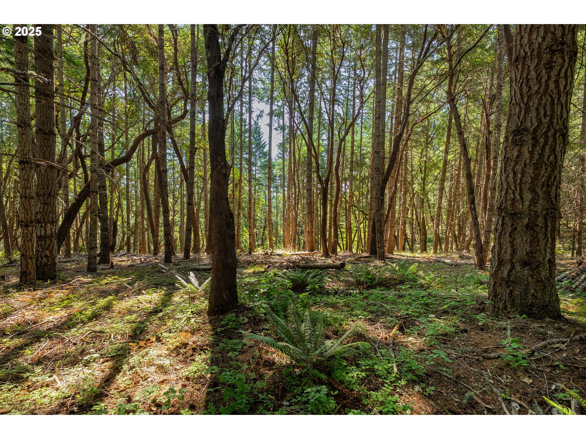 1180 Upper Cleveland Rapids Road Roseburg, OR 97471 - Photo 26 of 42 a view of outdoor space with garden