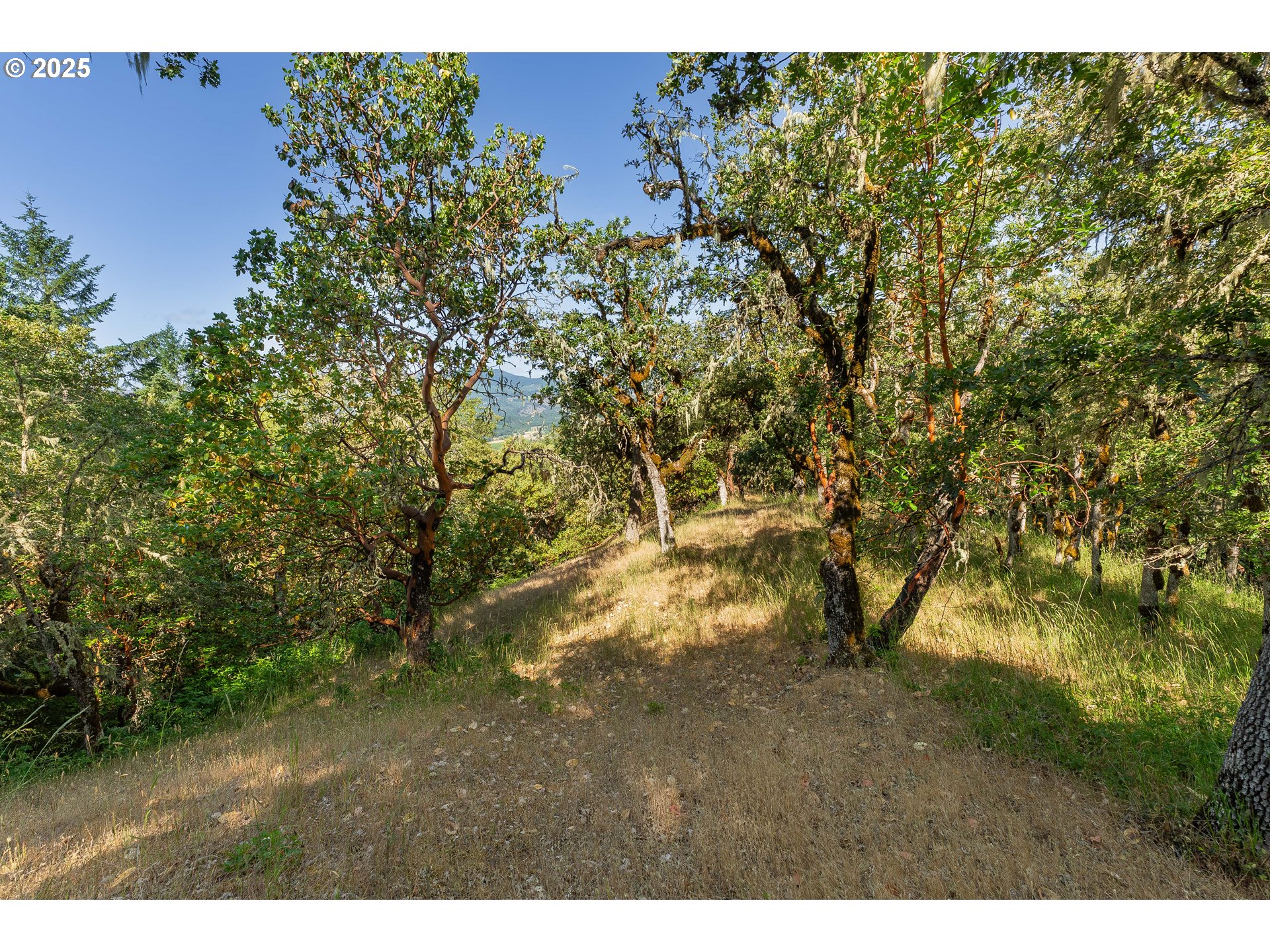 1180 Upper Cleveland Rapids Road Roseburg, OR 97471 - Photo 29 of 42 a view of an outdoor space