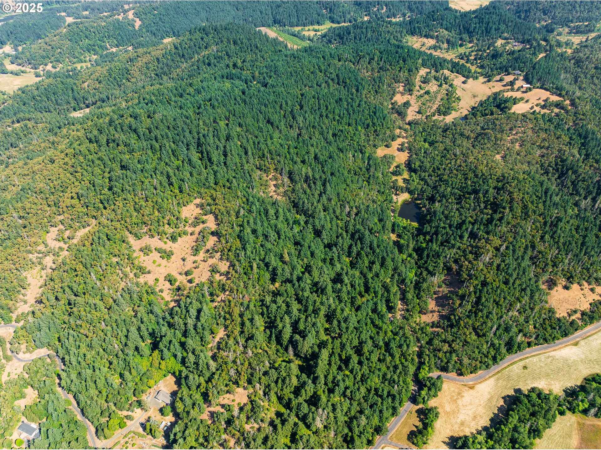 1180 Upper Cleveland Rapids Road Roseburg, OR 97471 - Photo 3 of 42 an aerial view of a house with a lush green forest