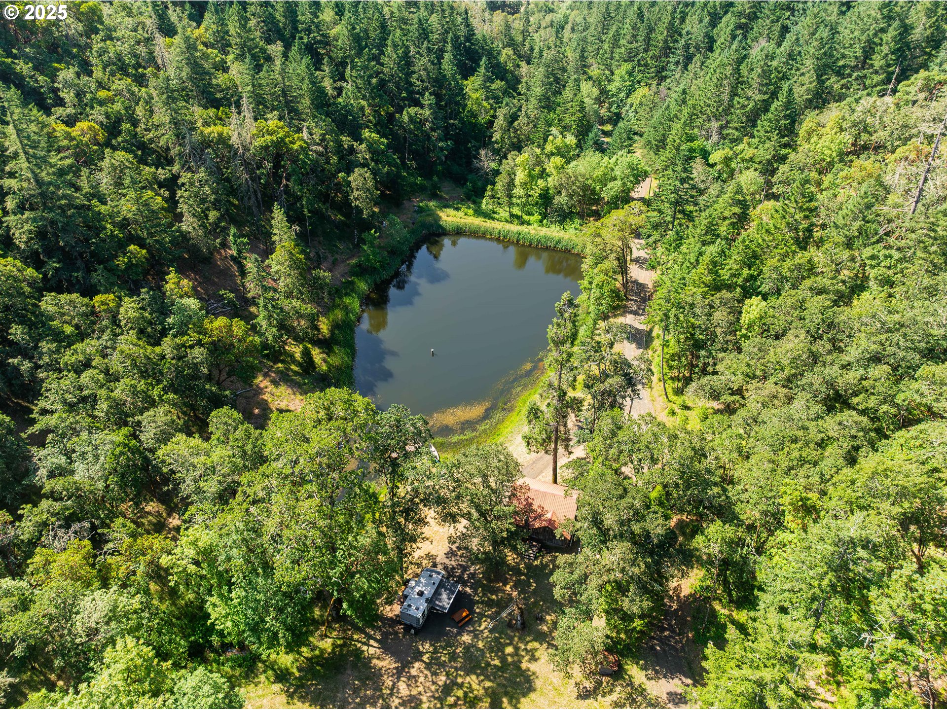 1180 Upper Cleveland Rapids Road Roseburg, OR 97471 - Photo 31 of 42 view of a forest with a tree