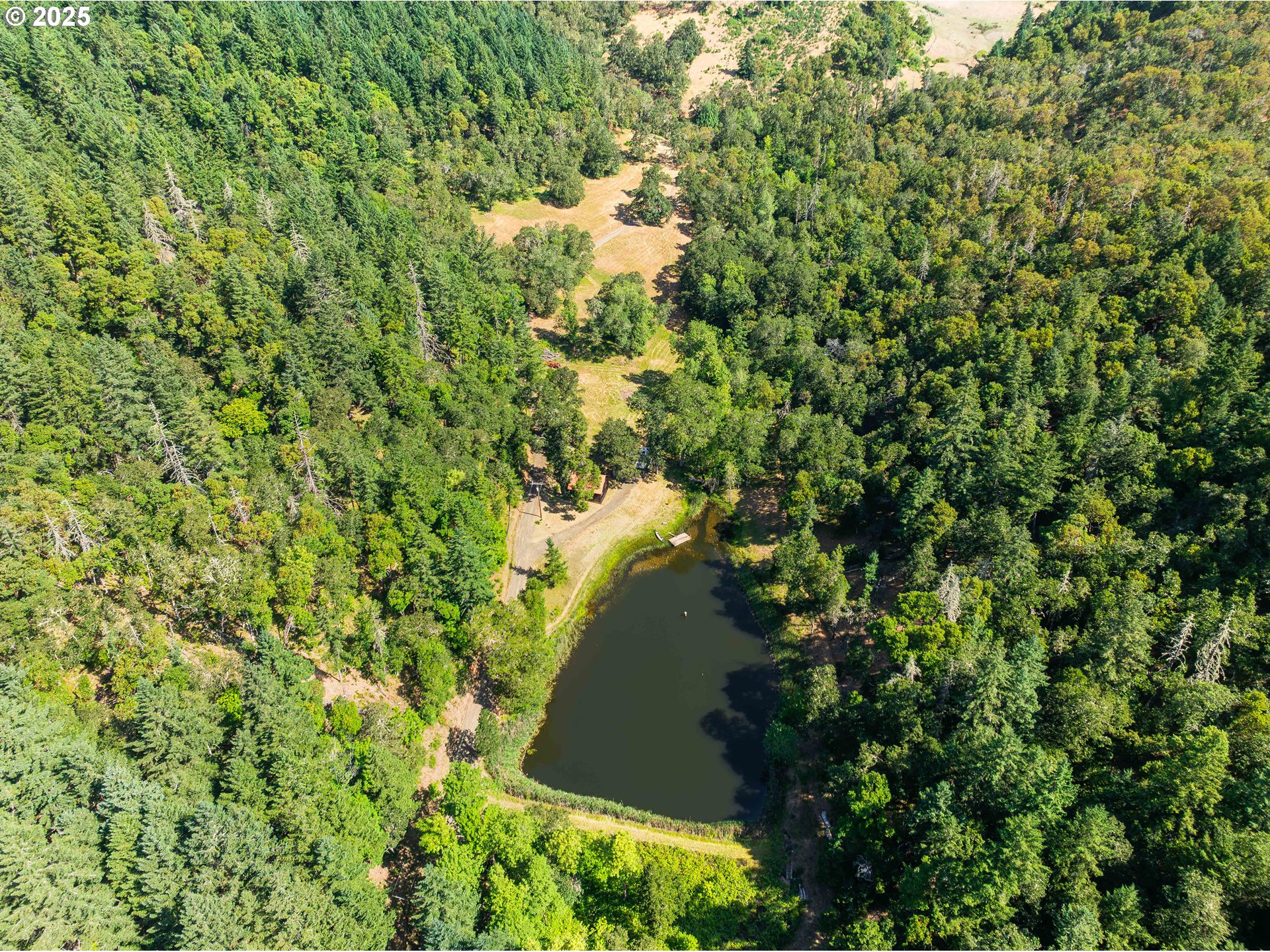 1180 Upper Cleveland Rapids Road Roseburg, OR 97471 - Photo 32 of 42 a view of a yard