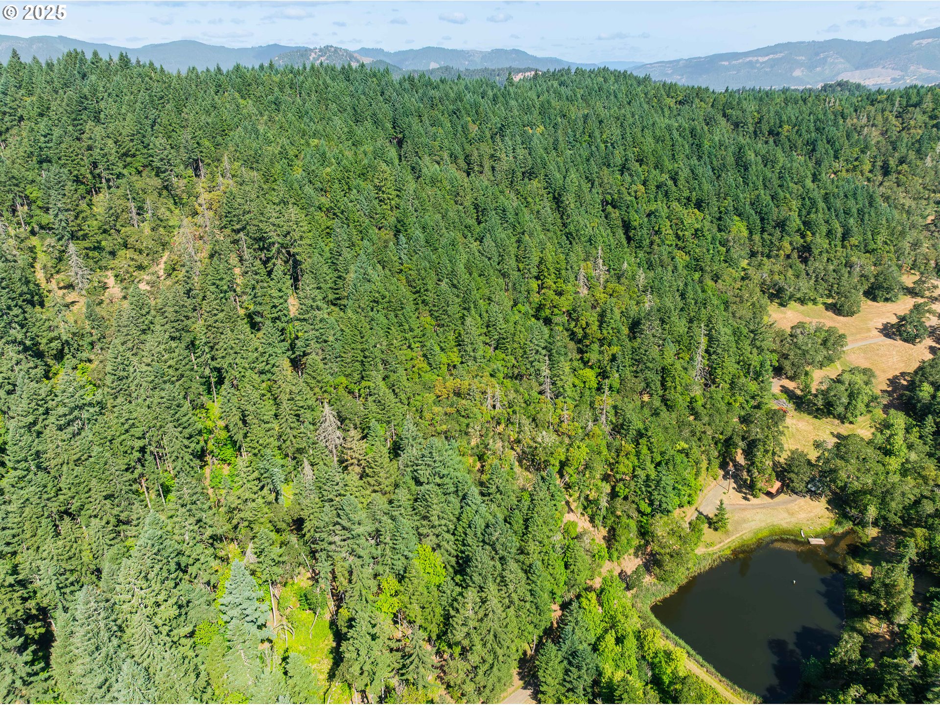 1180 Upper Cleveland Rapids Road Roseburg, OR 97471 - Photo 33 of 42 a view of a garden