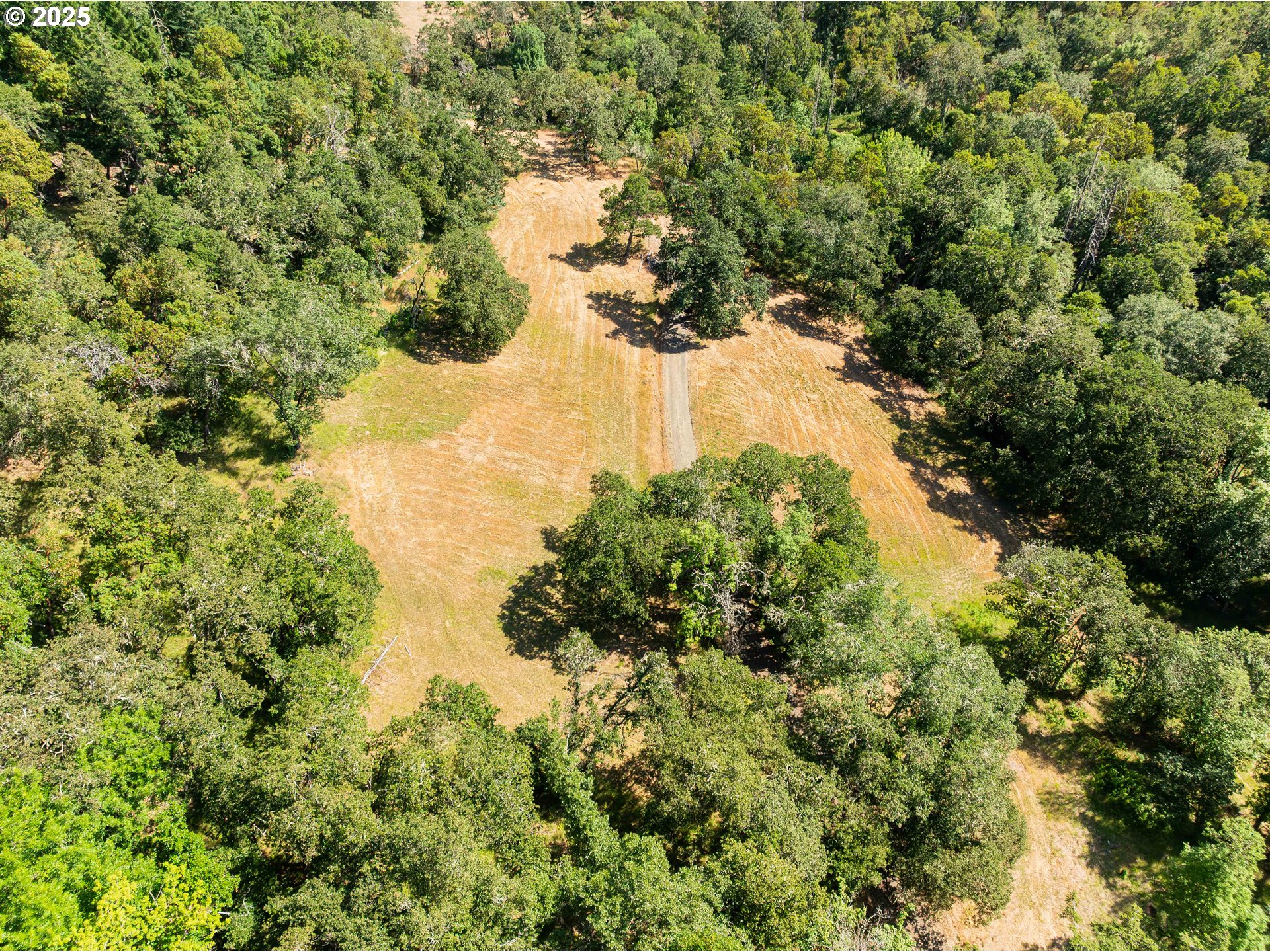1180 Upper Cleveland Rapids Road Roseburg, OR 97471 - Photo 35 of 42 a view of a tree in a yard