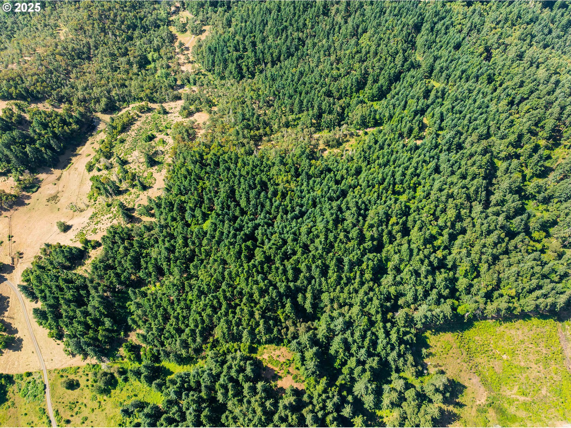 1180 Upper Cleveland Rapids Road Roseburg, OR 97471 - Photo 37 of 42 a view of a yard with a plant