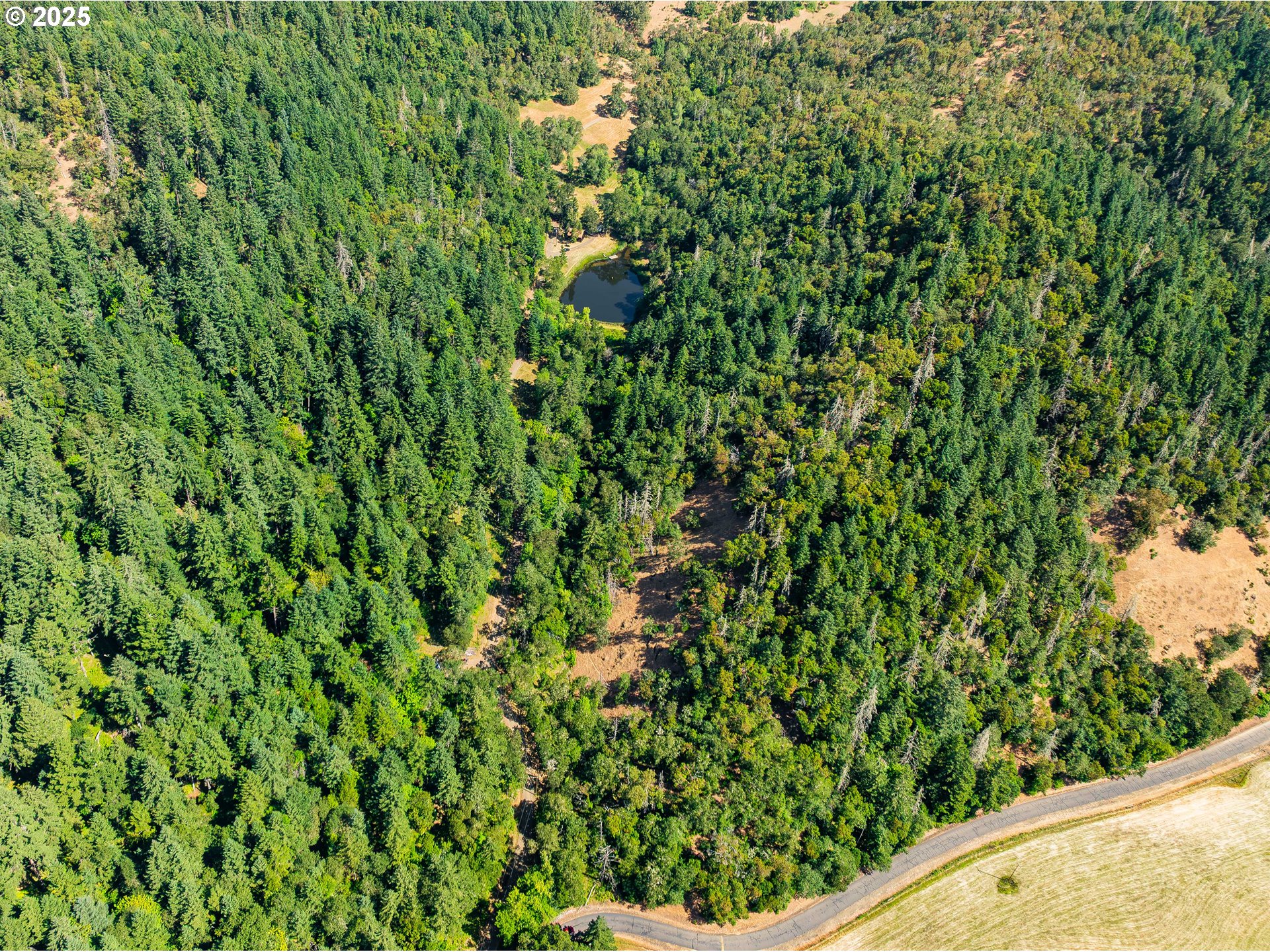 1180 Upper Cleveland Rapids Road Roseburg, OR 97471 - Photo 39 of 42 a view of a garden