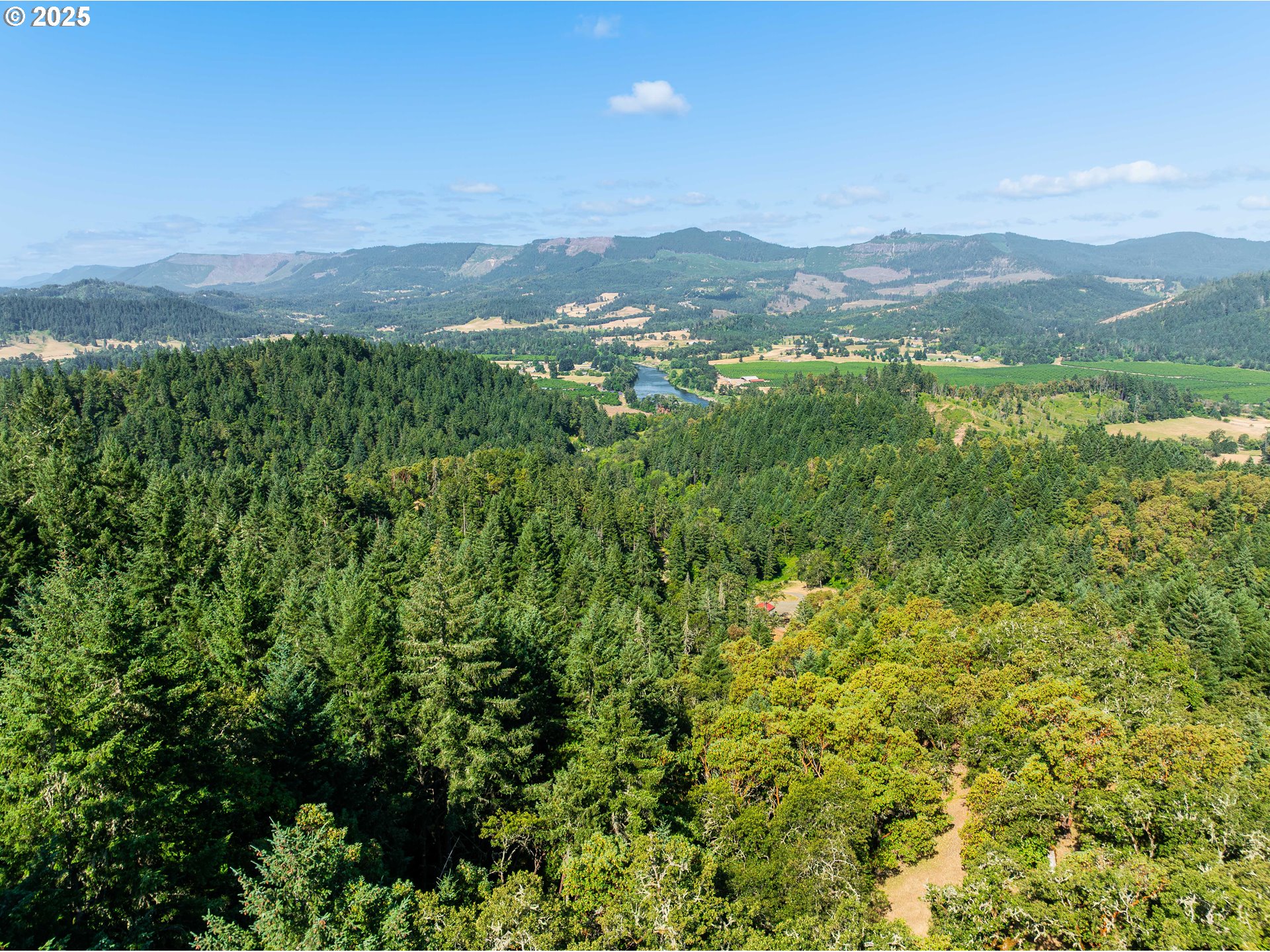 1180 Upper Cleveland Rapids Road Roseburg, OR 97471 - Photo 41 of 42 a view of a mountain range with lush green forest