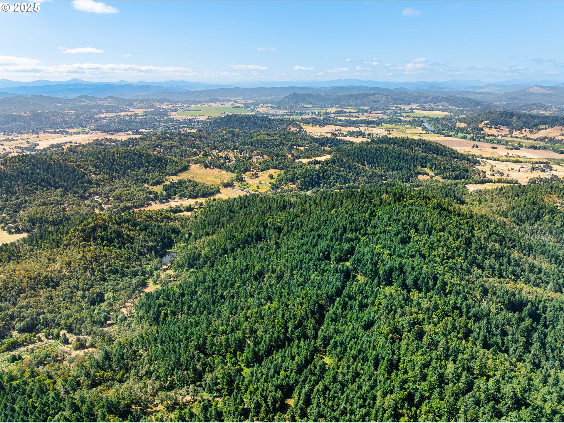 1180 Upper Cleveland Rapids Road Roseburg, OR 97471 - Photo 42 of 42 an aerial view of residential building and green space