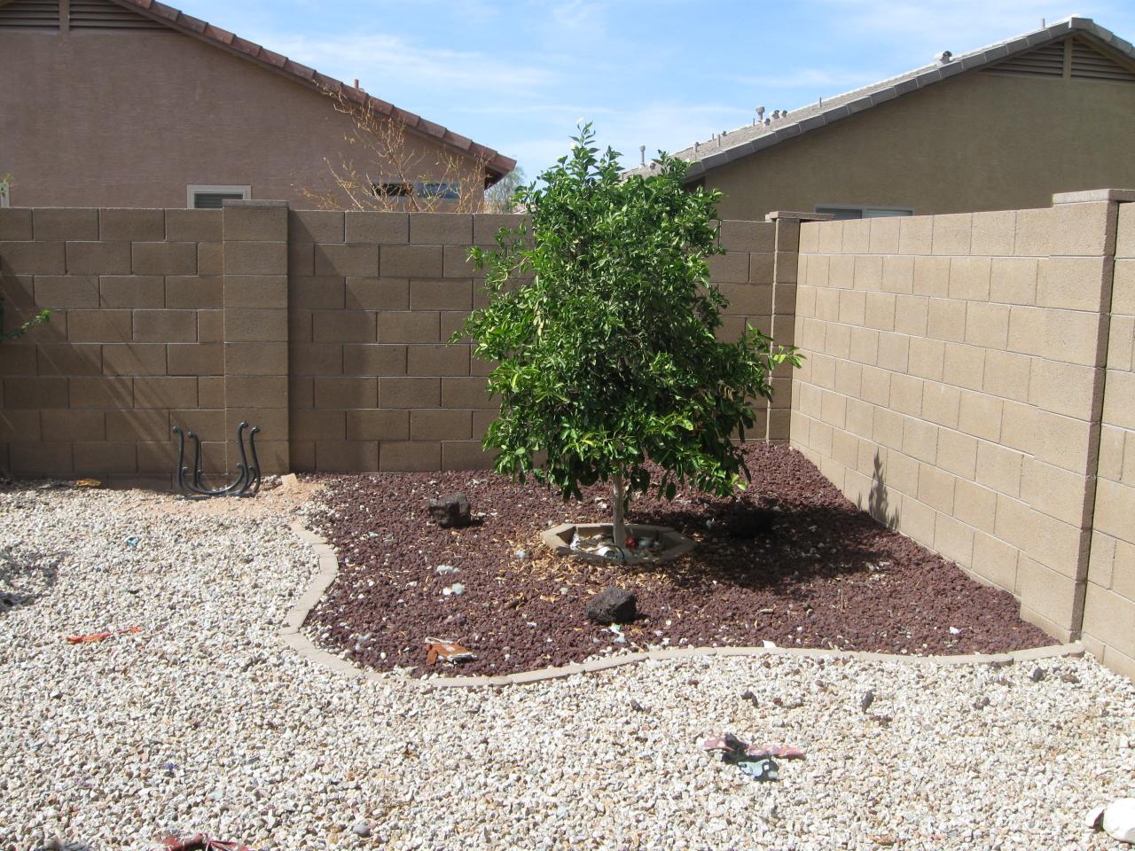 46028 West Tucker Road Maricopa, AZ 85139 - Photo 3 of 9 Backyard