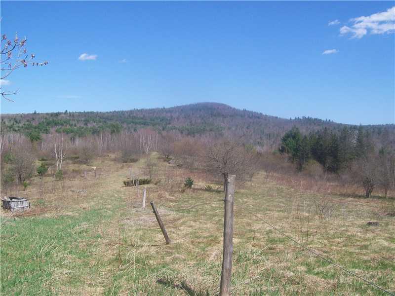 48 Barrows Road Sumner, ME 04292 - Photo 1 of 4 Land/Lot.