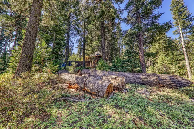 a backyard of a house with lots of green space