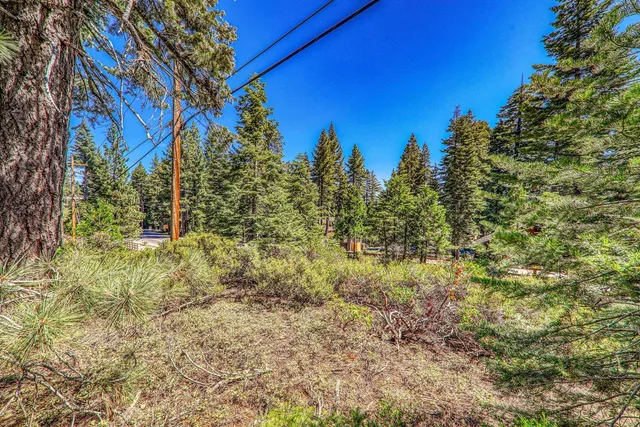 a view of a yard with plants and trees