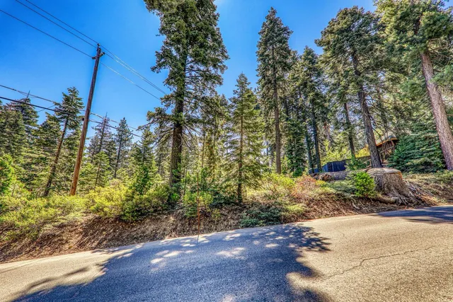 a view of backyard with green space